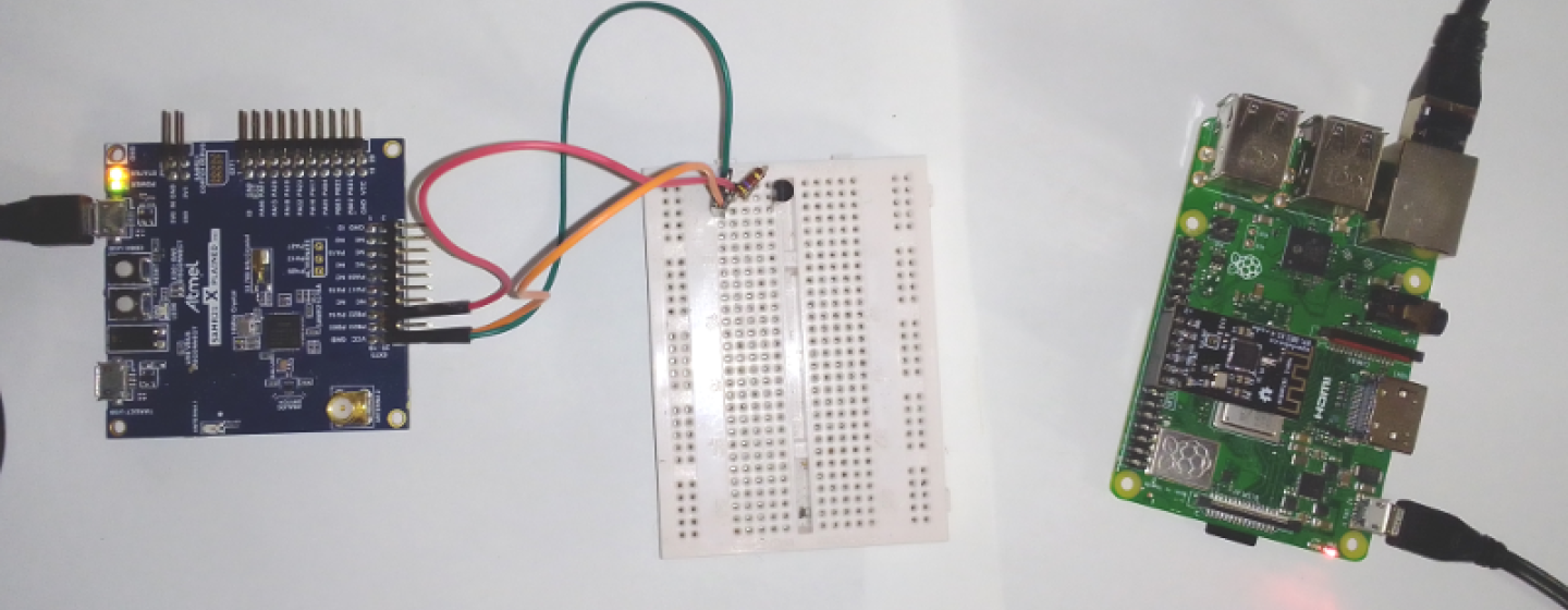 CoMatrix setup, SAMR21-xpro microcontroller with a DS18S20 temperature sensor and Raspberry Pi 3 gateway.