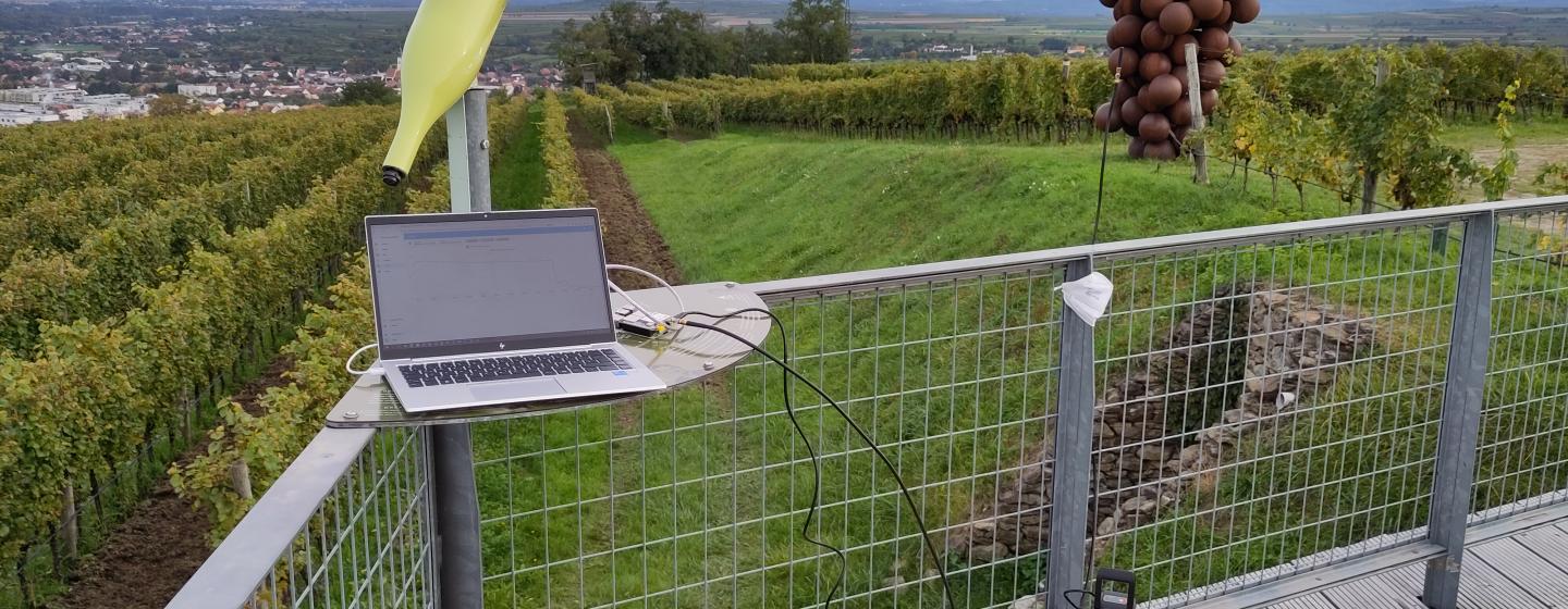 LoRaBridge field test at the vineyards of Langenlois