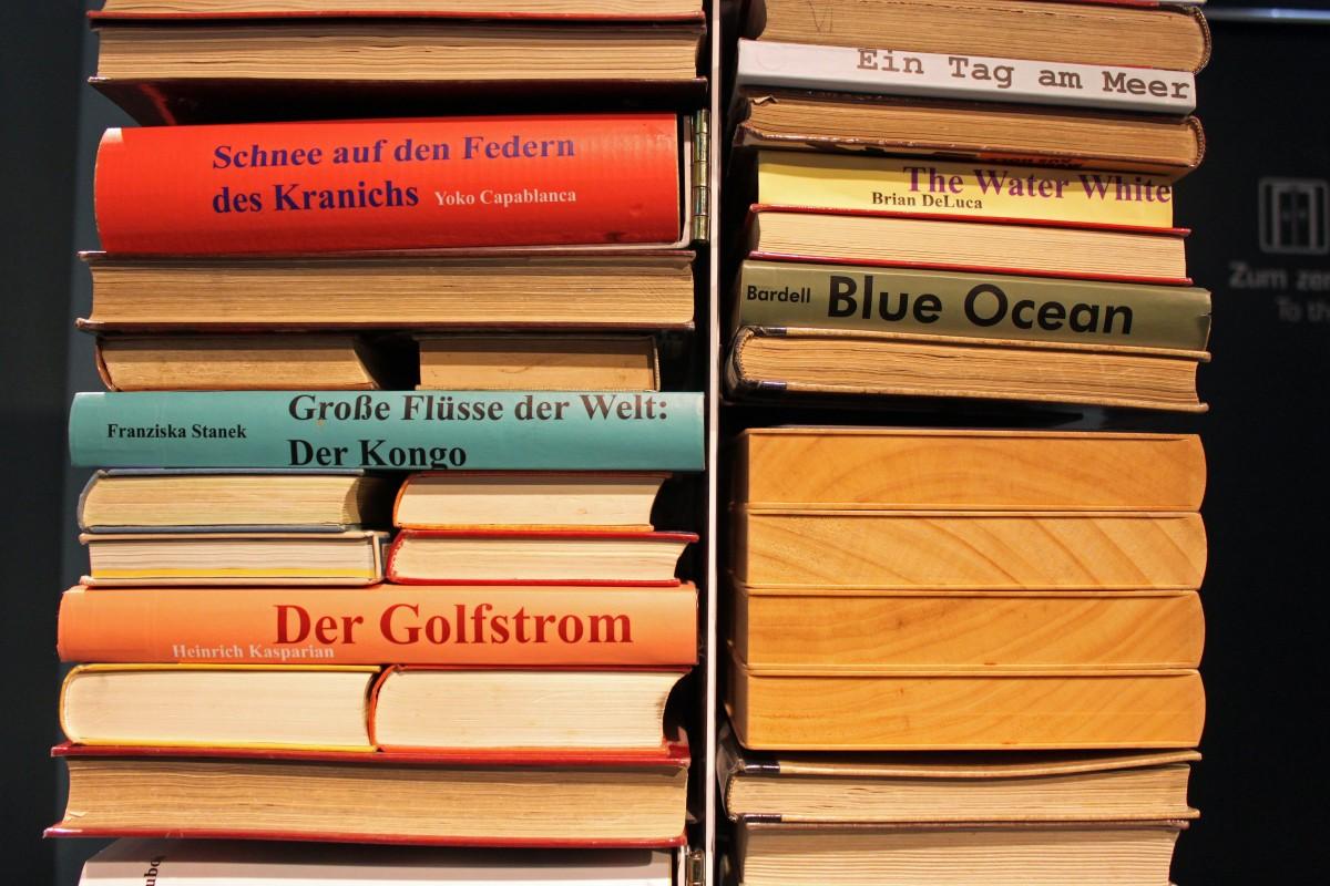 Bücher, Source: https://pxhere.com/en/photo/748747 (CC0 1.0 Universal)