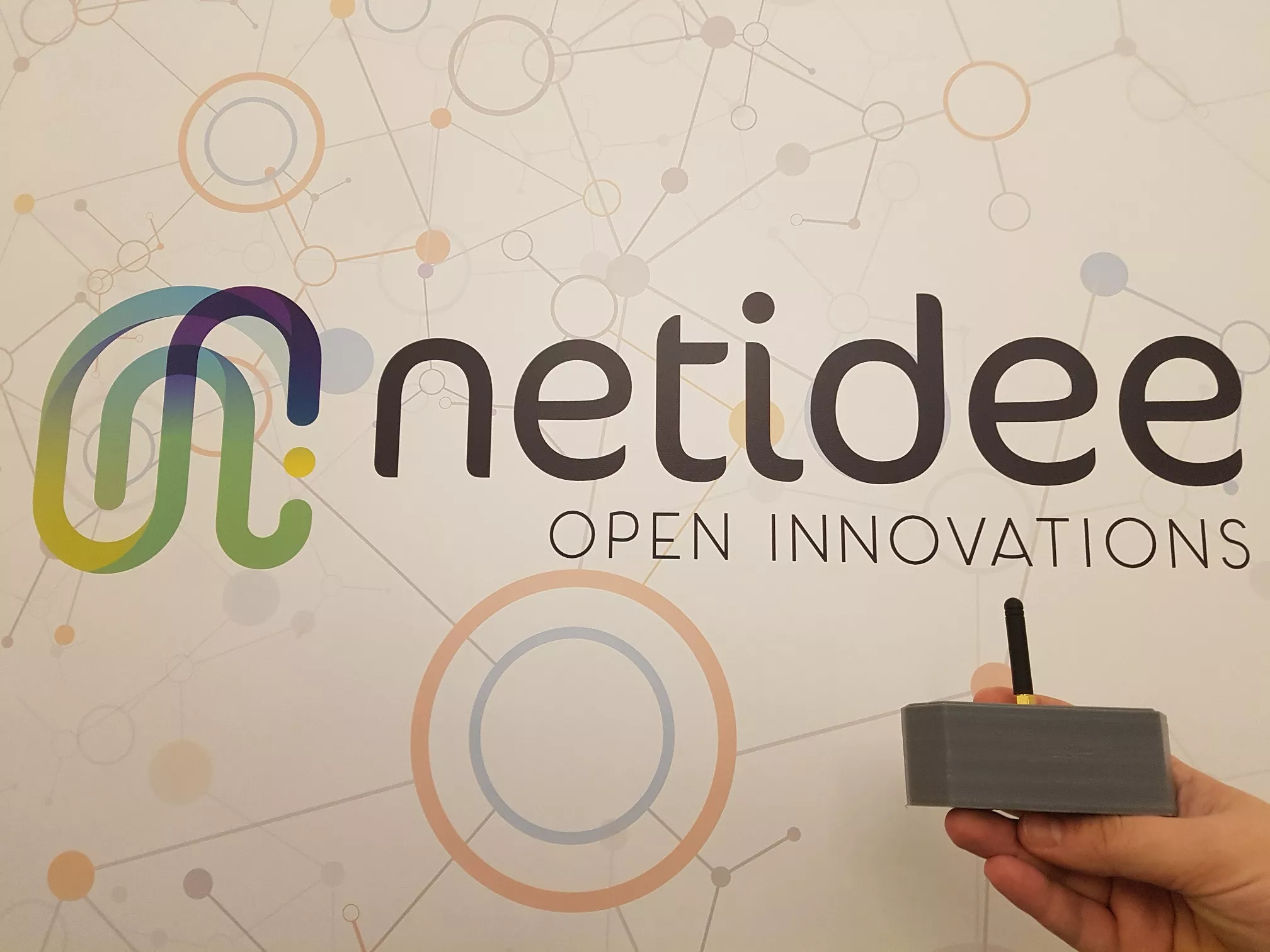 Netidee mit Sensor