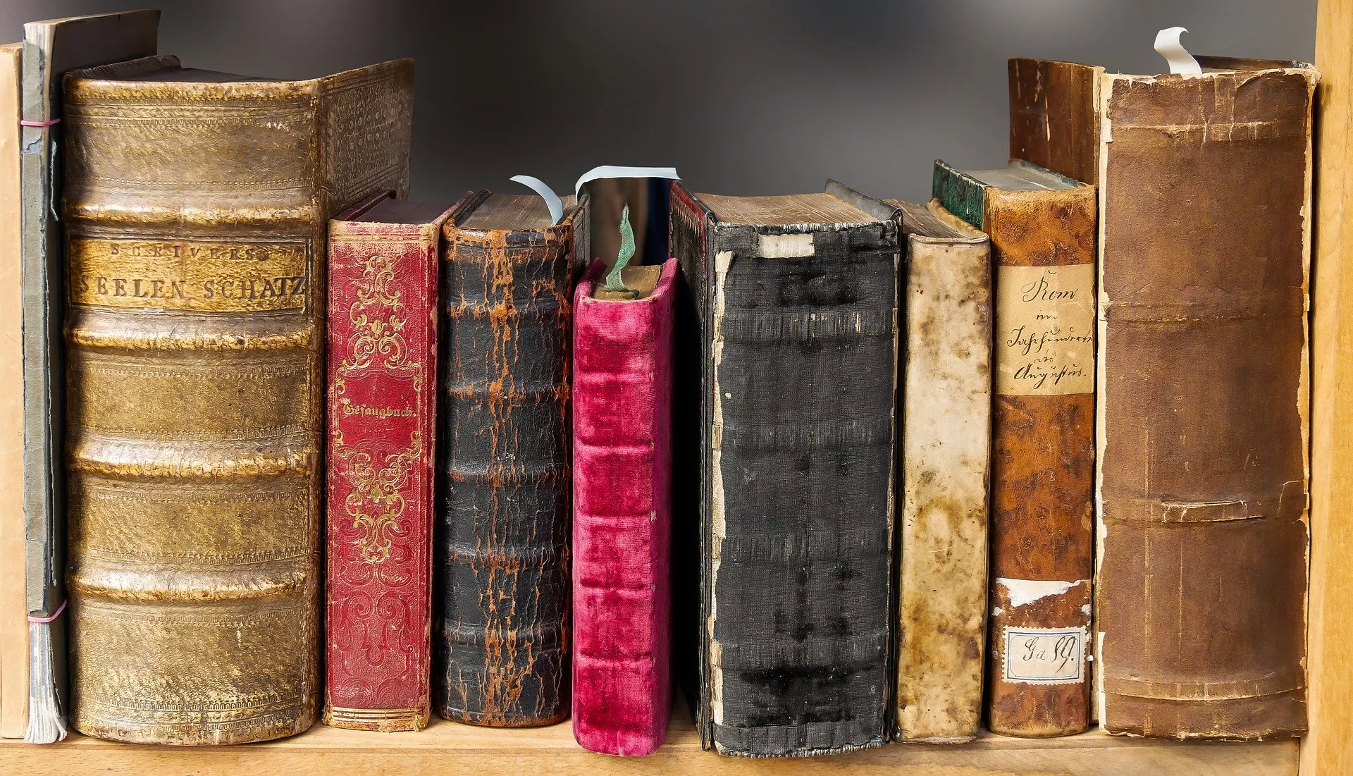Das Bild zeigt alte Bücher in einem Regal