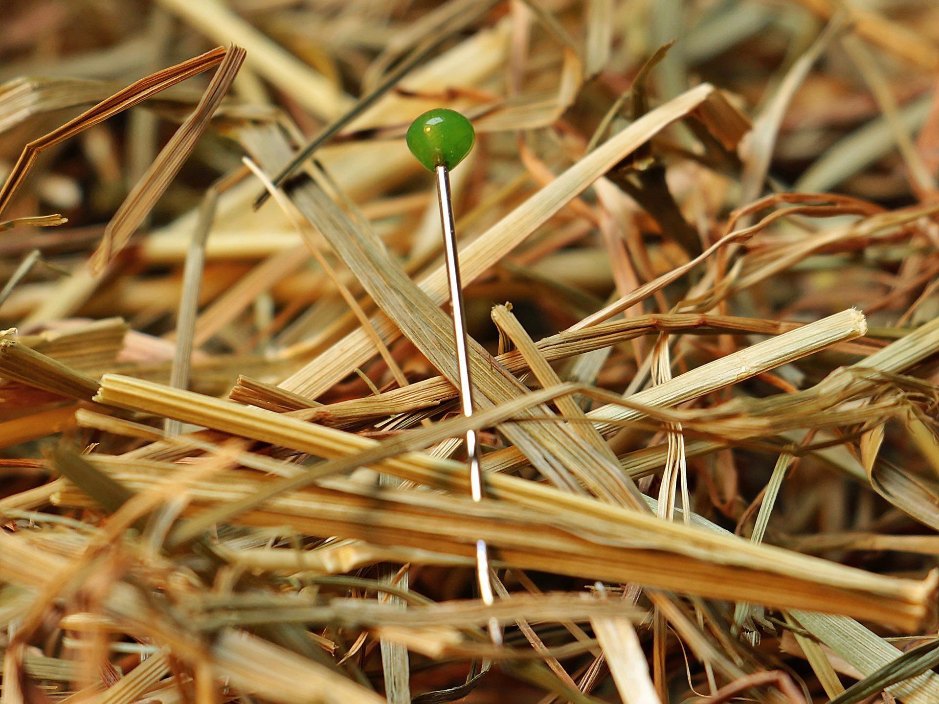 needle in the haystack