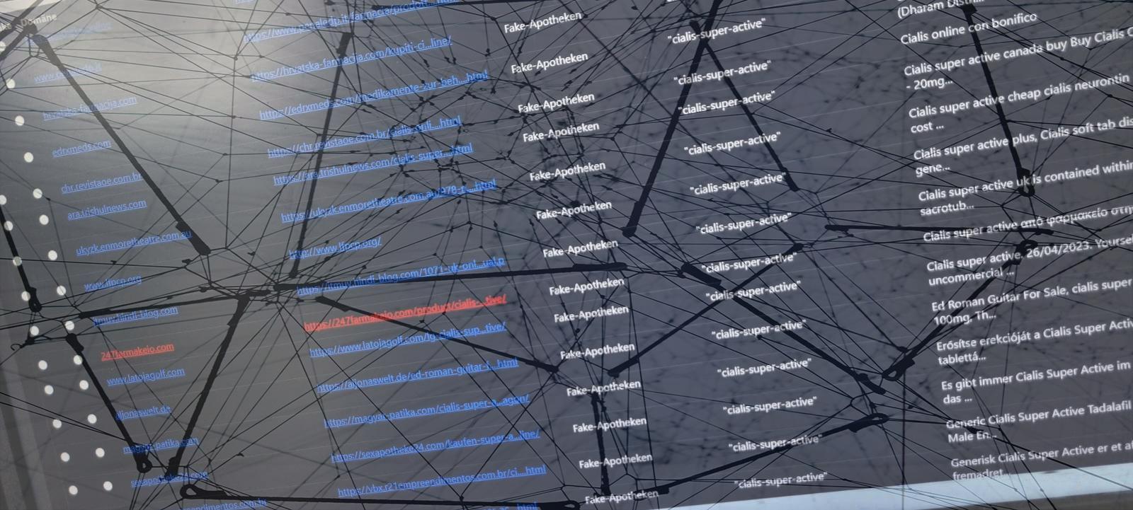 Screenshot unseres Crawlers, darüber ein transparents Bild eines Netzes