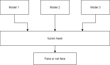 conceptual overview