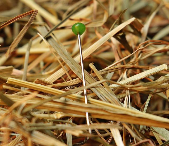 needle in the haystack