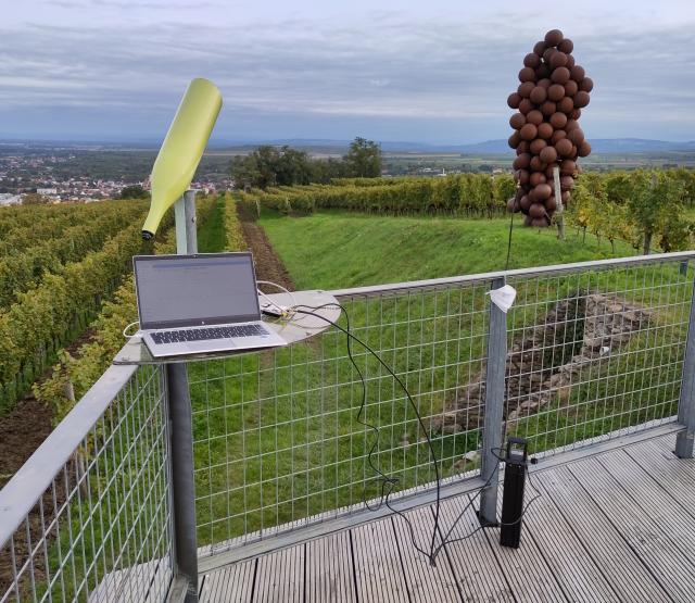 LoRaBridge field test at the vineyards of Langenlois