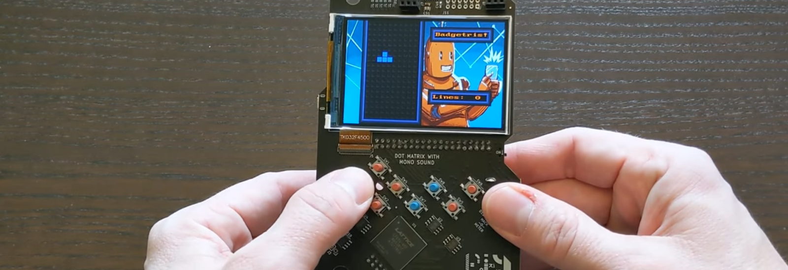 FPGA boy
