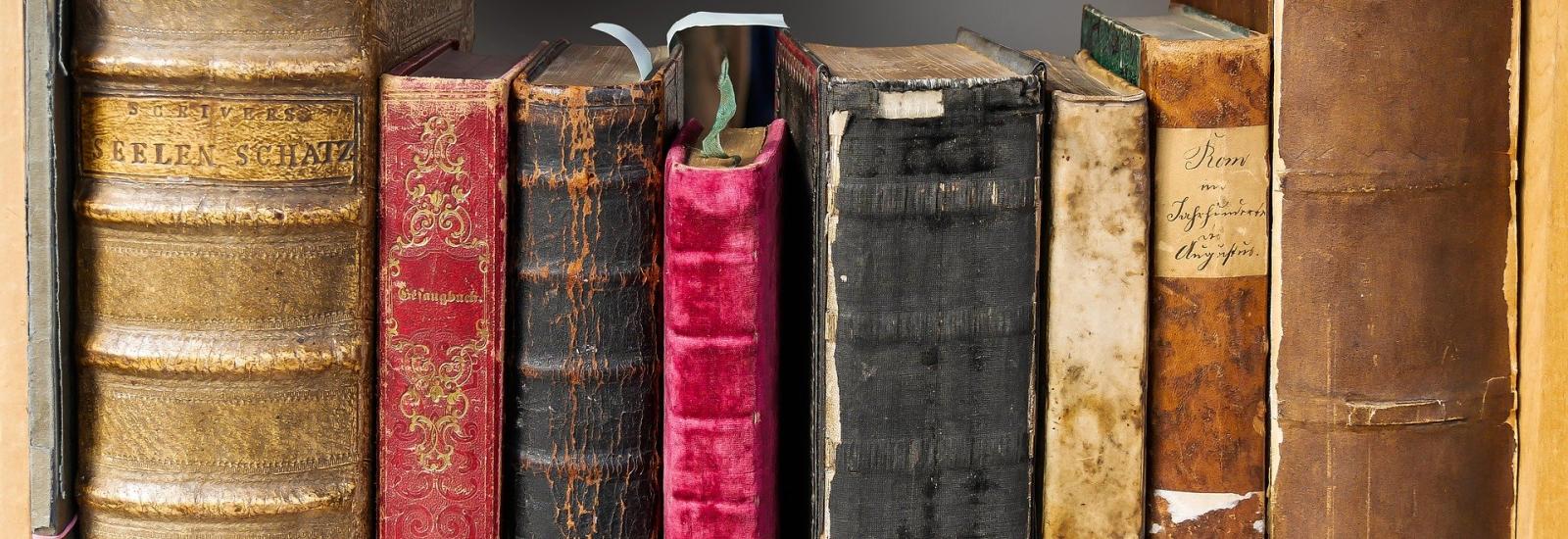 Das Bild zeigt alte Bücher in einem Regal