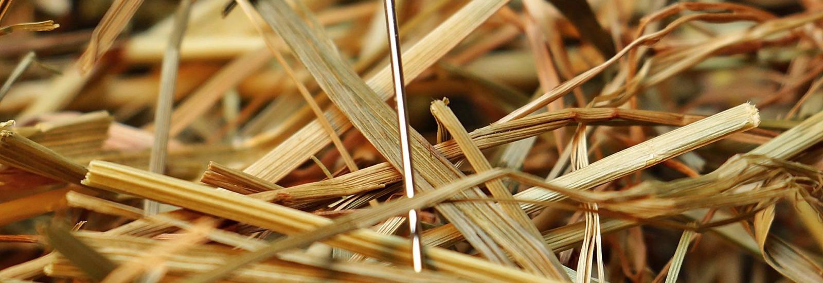 needle in the haystack