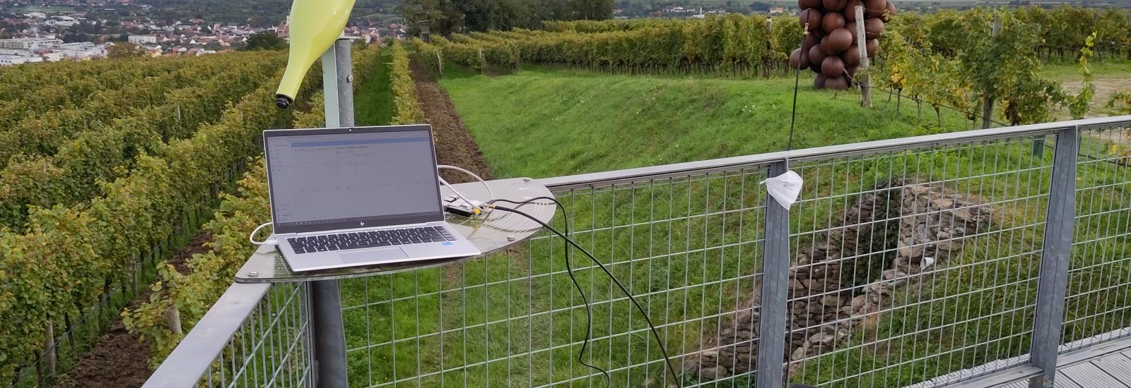 LoRaBridge field test at the vineyards of Langenlois