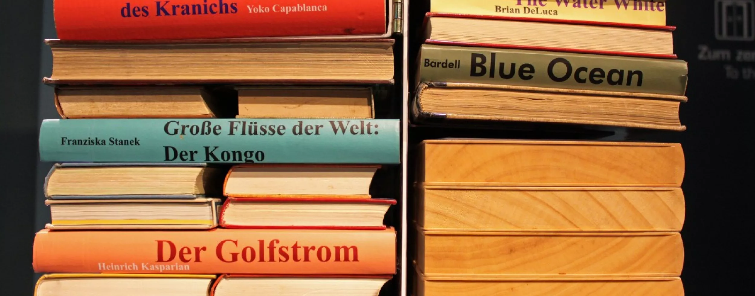 Bücher, Source: https://pxhere.com/en/photo/748747 (CC0 1.0 Universal)