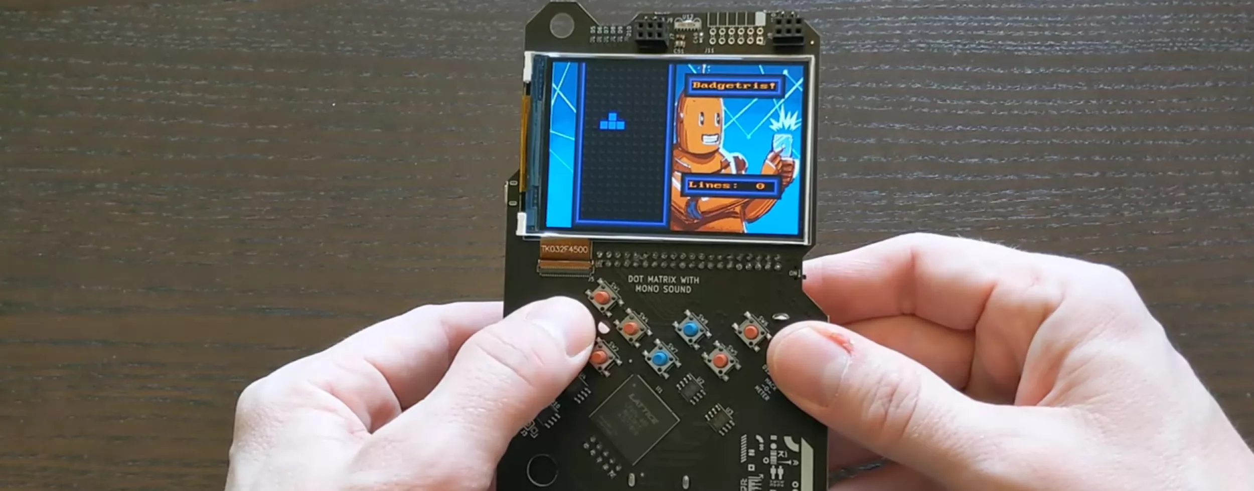 FPGA boy