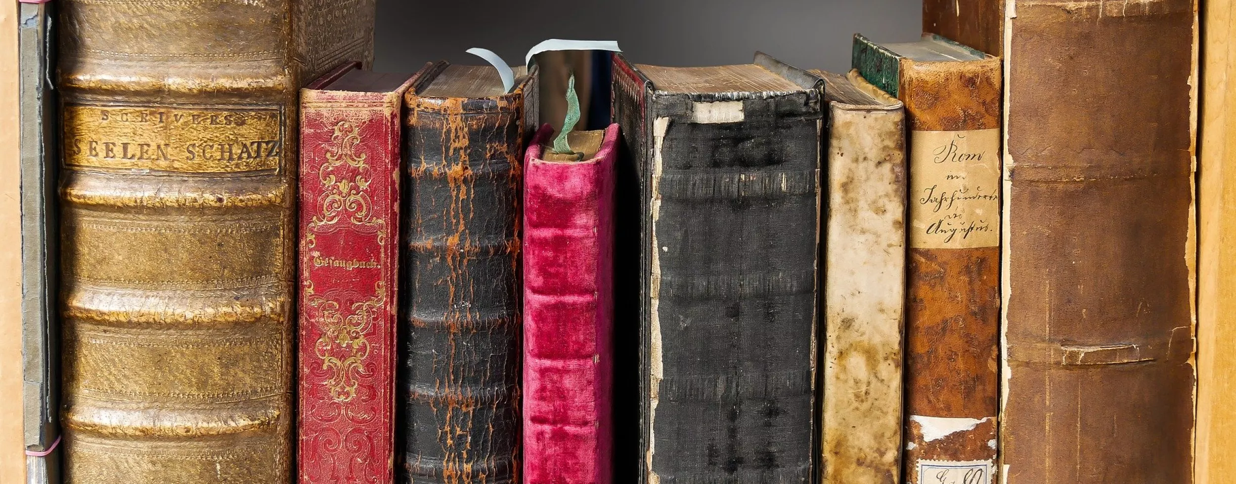 Das Bild zeigt alte Bücher in einem Regal